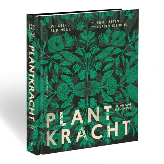 5177ed38 76c2 4b92 a777 b554754f9b341